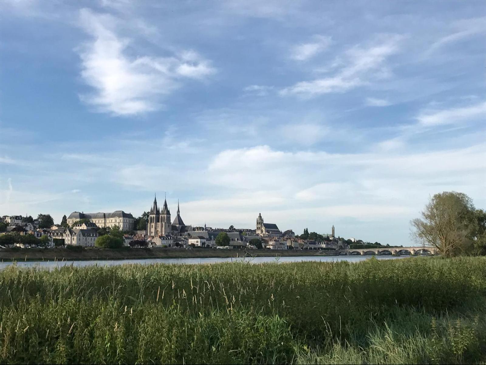 Quai De La Loire Apartment Blois Luaran gambar