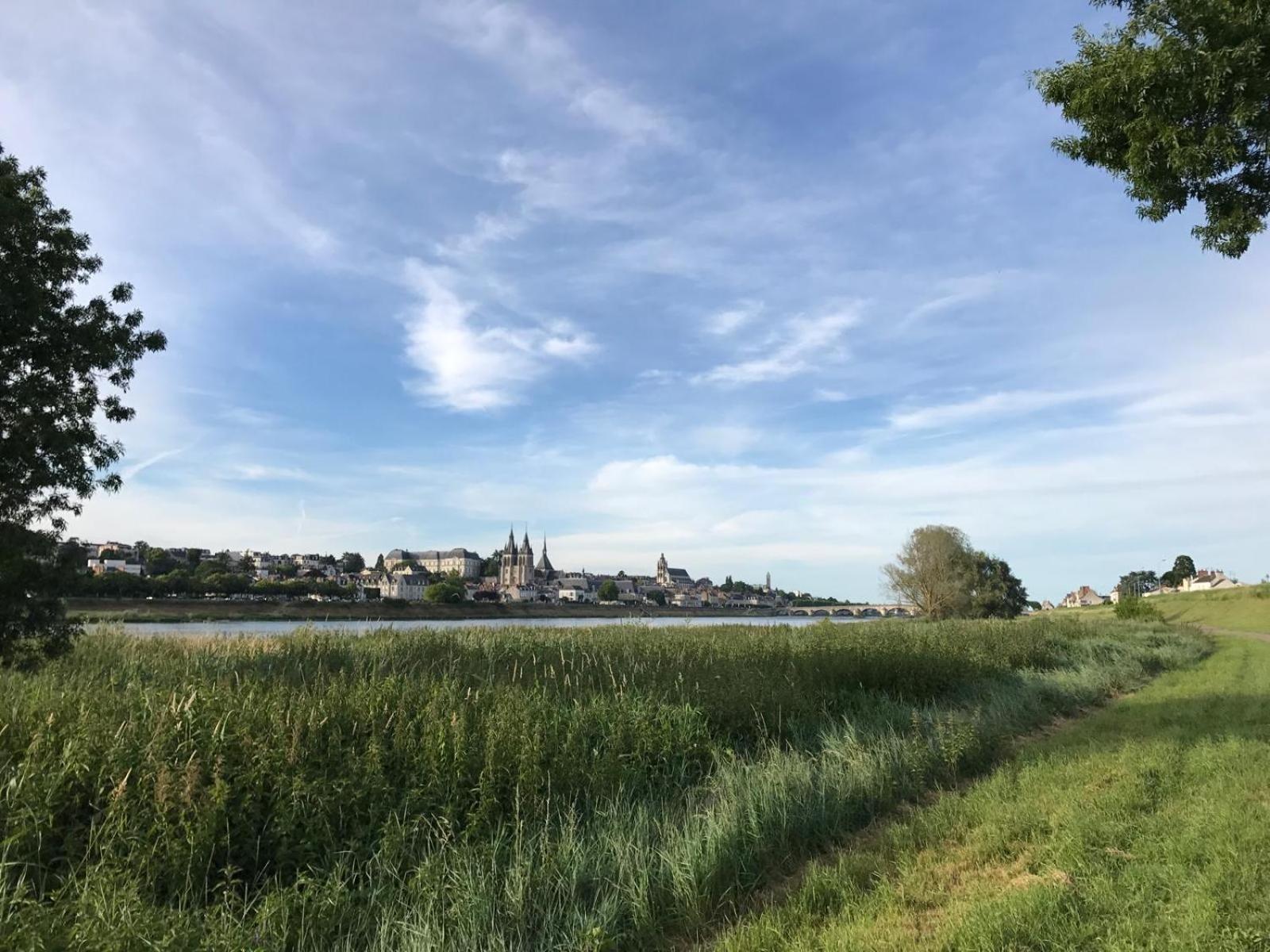 Quai De La Loire Apartment Blois Luaran gambar