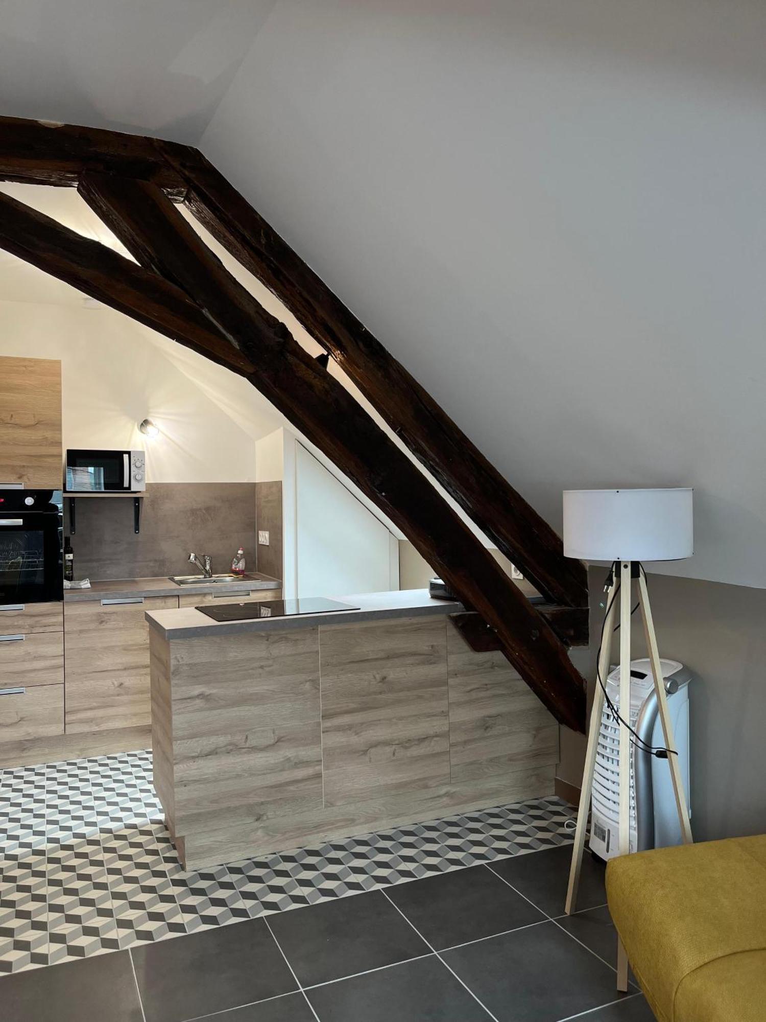 Quai De La Loire Apartment Blois Luaran gambar