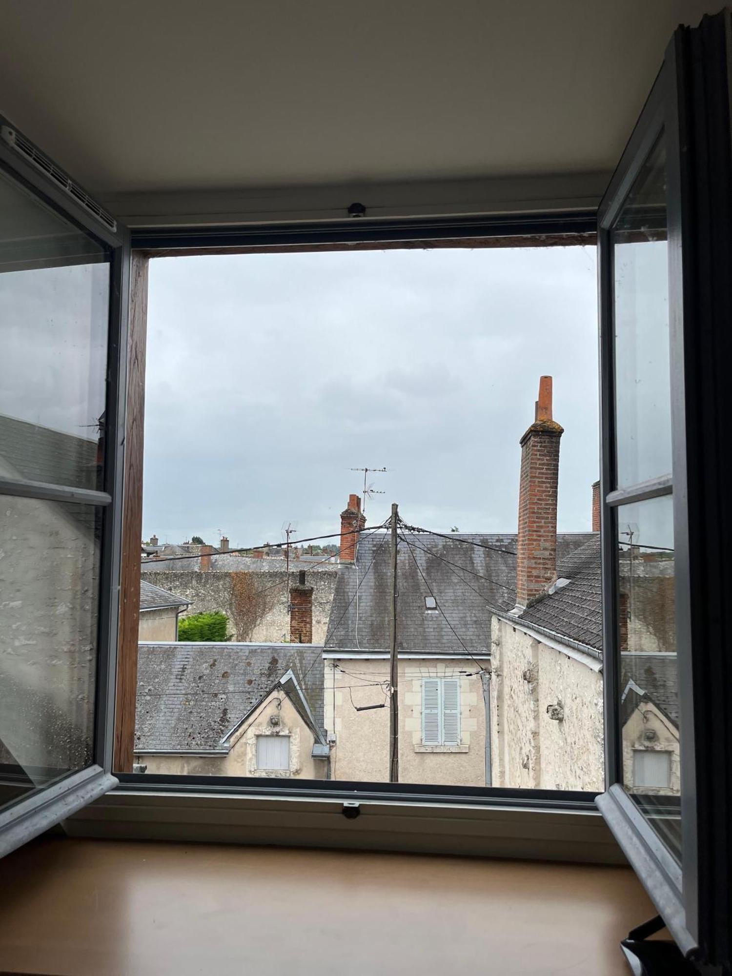 Quai De La Loire Apartment Blois Luaran gambar
