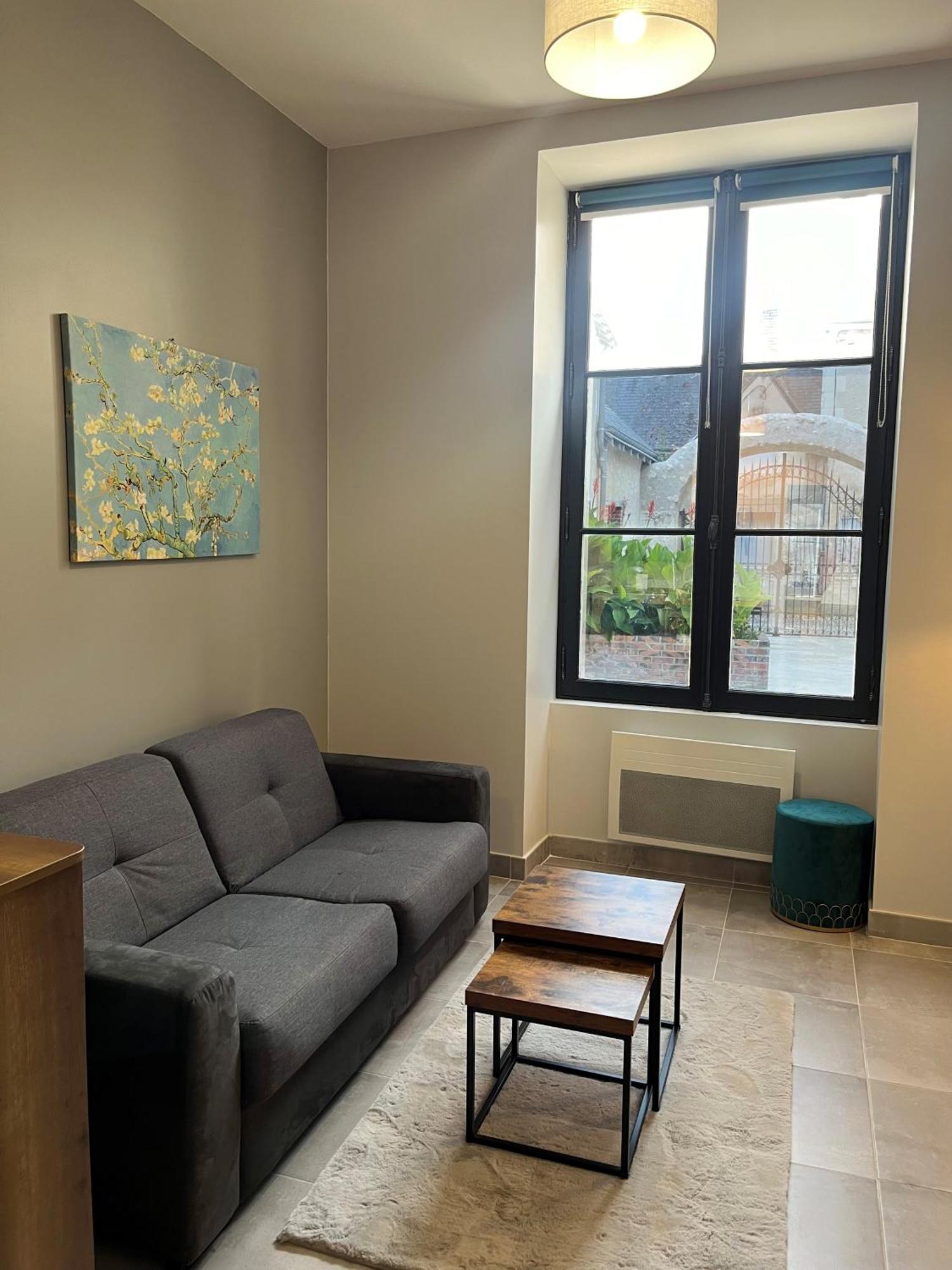 Quai De La Loire Apartment Blois Luaran gambar