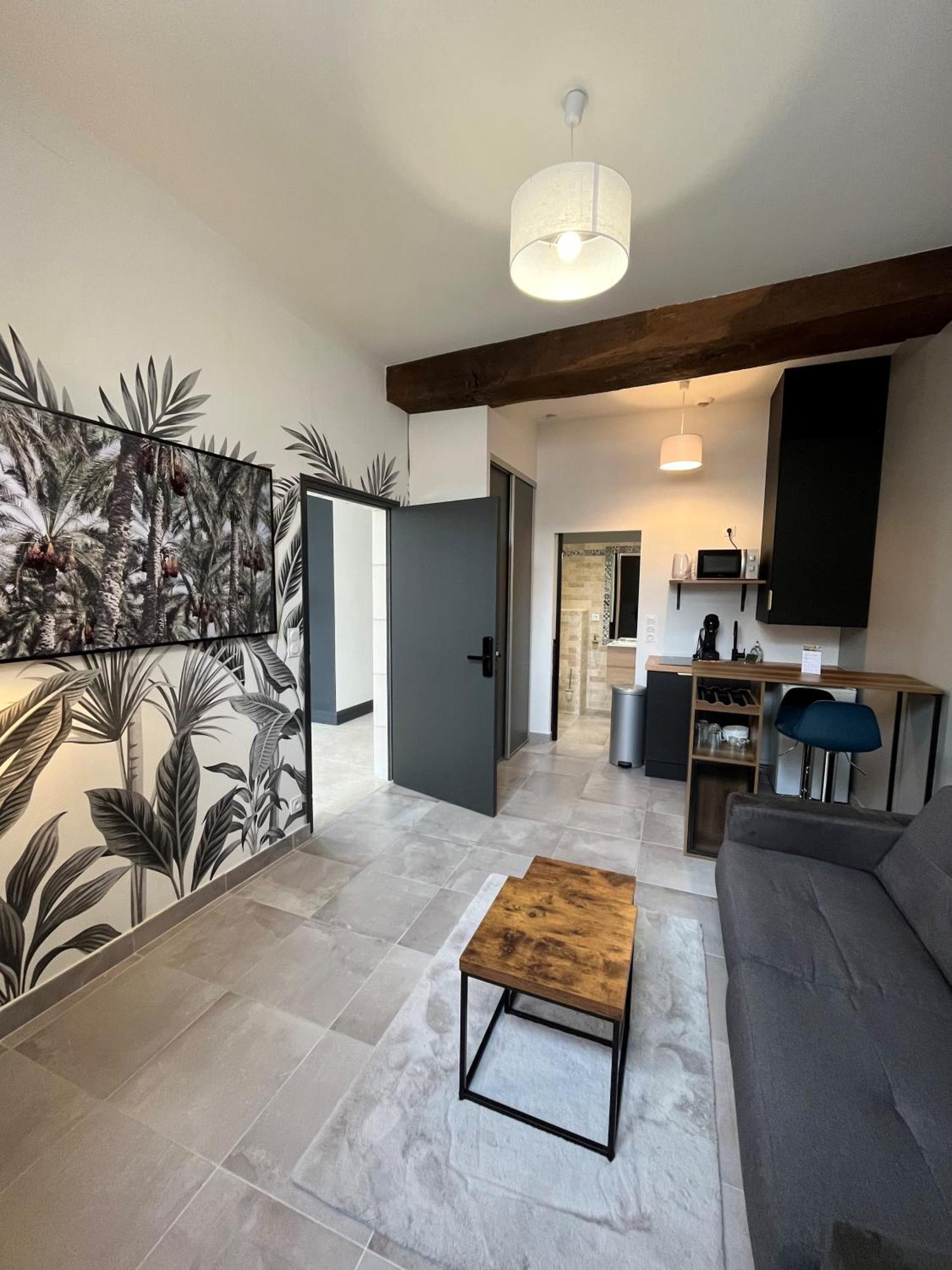 Quai De La Loire Apartment Blois Luaran gambar