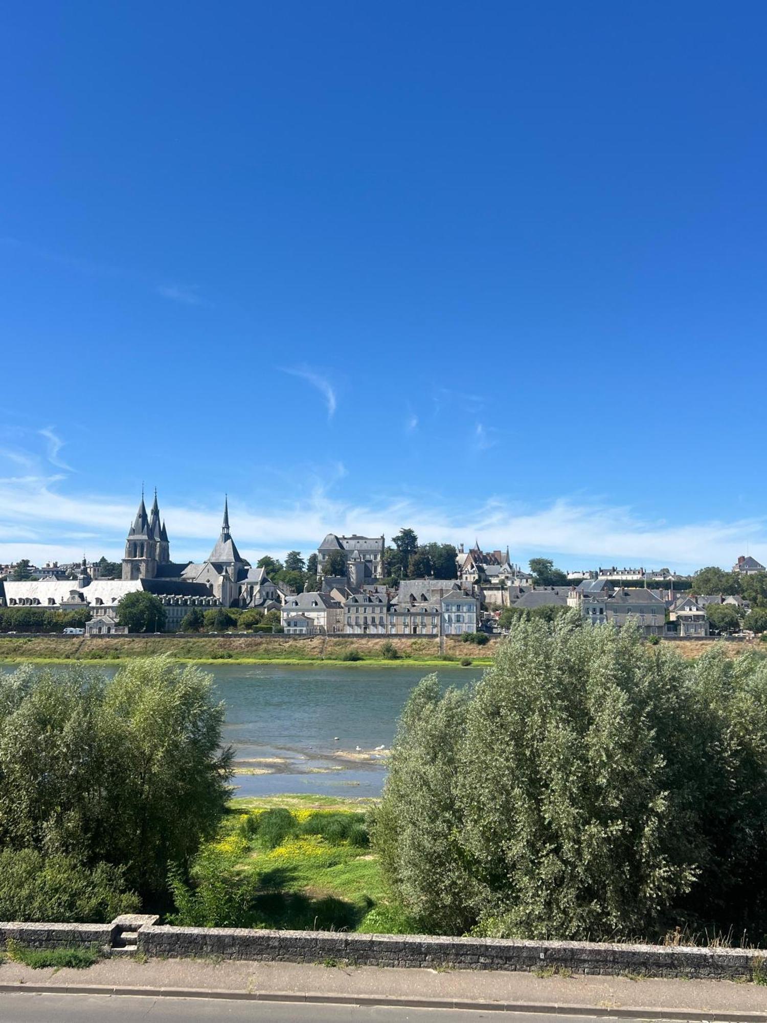 Quai De La Loire Apartment Blois Luaran gambar