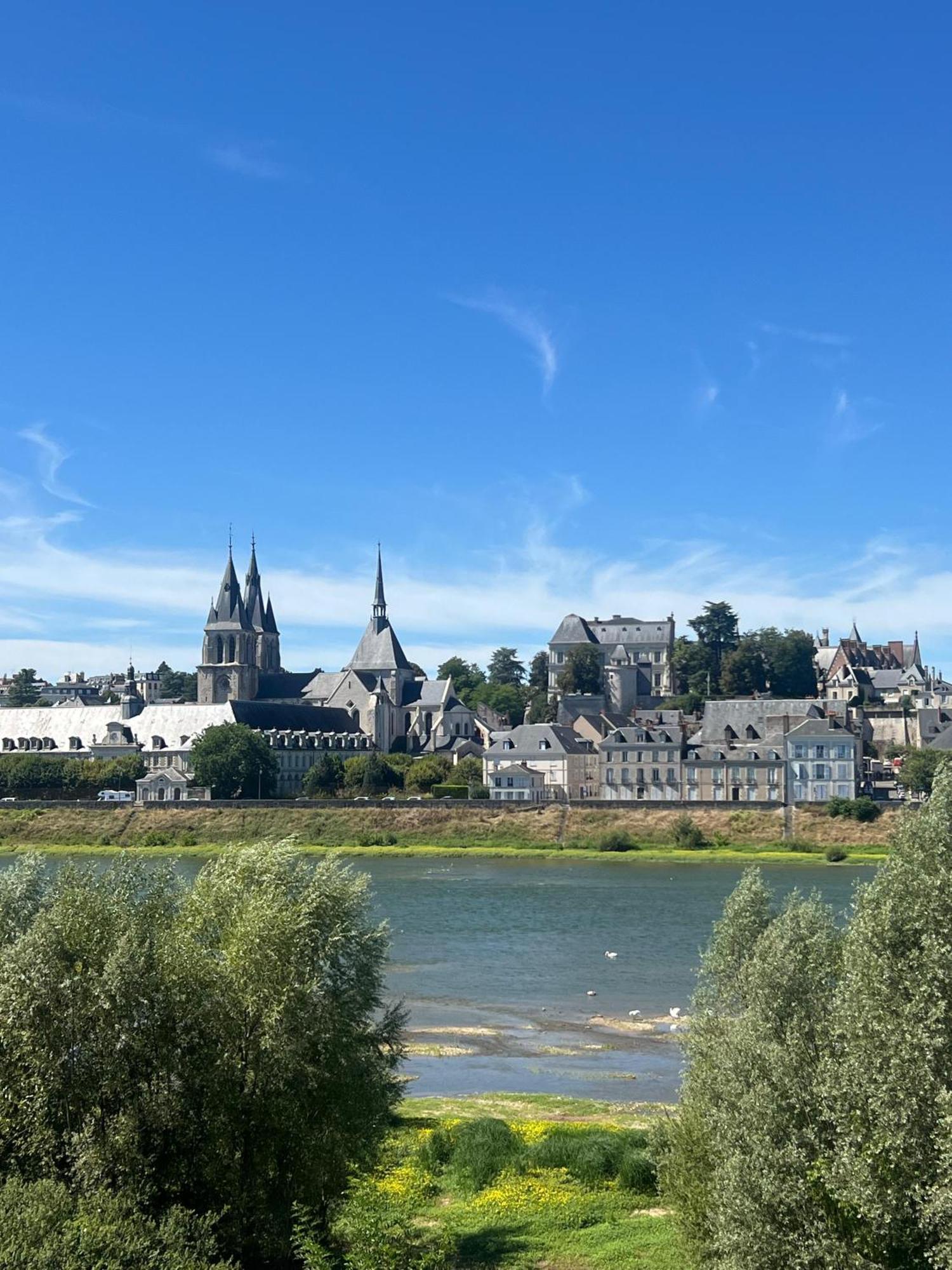 Quai De La Loire Apartment Blois Luaran gambar
