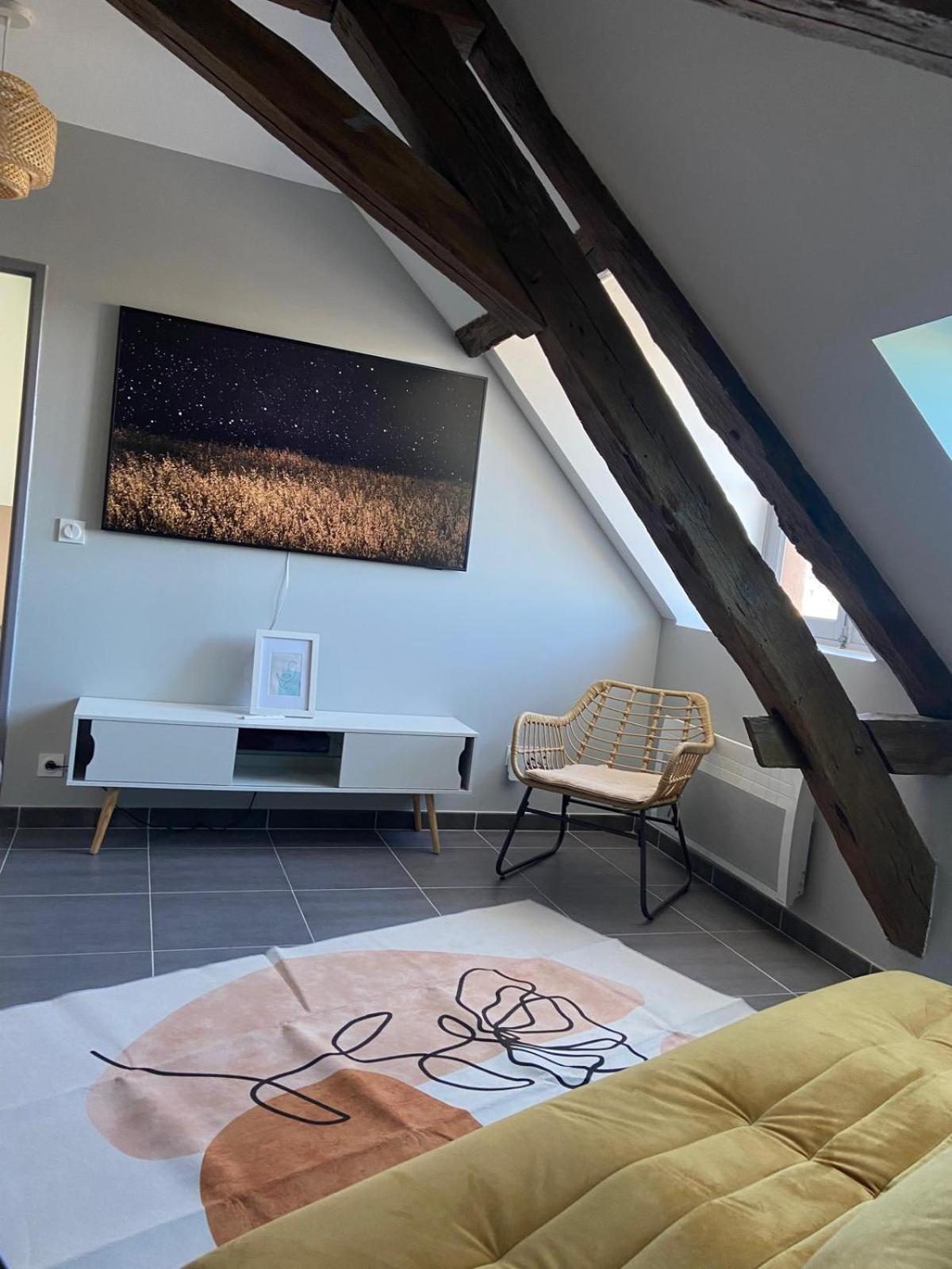 Quai De La Loire Apartment Blois Luaran gambar