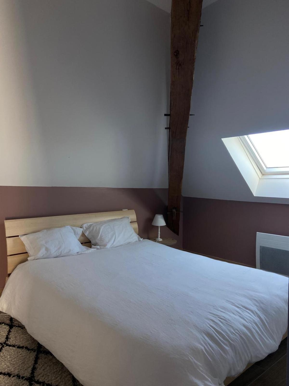 Quai De La Loire Apartment Blois Luaran gambar